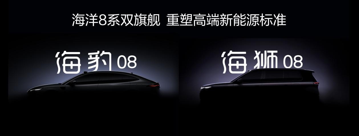 四年累销超600万辆，百万海豚助力海洋网发展加速度