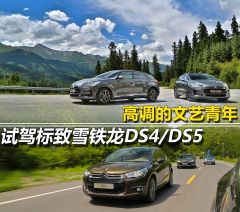 长安标致雪铁龙-DS5-1.6T 尊享版