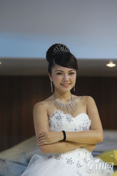 大众(进口)4号车模