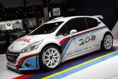 标致-标致208 R5拉力赛车