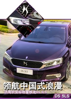 长安标致雪铁龙-DS 5LS