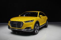 奥迪-奥迪TT offroad