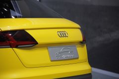 奥迪-奥迪TT offroad