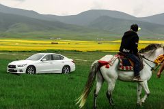 英菲尼迪-英菲尼迪Q50-2.0T 豪华运动版