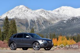 奥迪-奥迪SQ5 2014