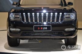 一汽红旗-红旗LS5