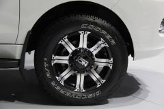 福田汽车-萨瓦纳