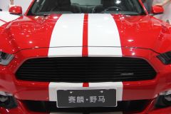 赛麟汽车-赛麟野马