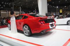 赛麟汽车-赛麟野马