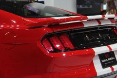 赛麟汽车-赛麟野马