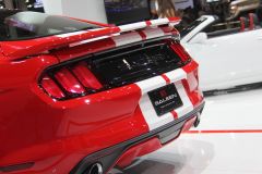 赛麟汽车-赛麟野马