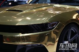 赛麟汽车-赛麟野马