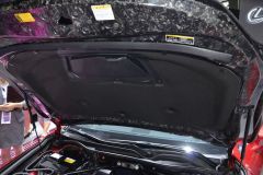 雷克萨斯-雷克萨斯RC F