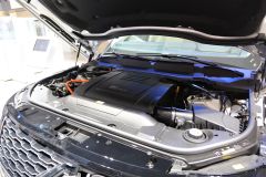 路虎(进口)-揽胜