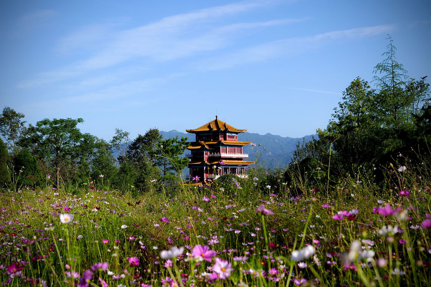 佛泉寺佛系之旅 体验别克威朗20T豪华型