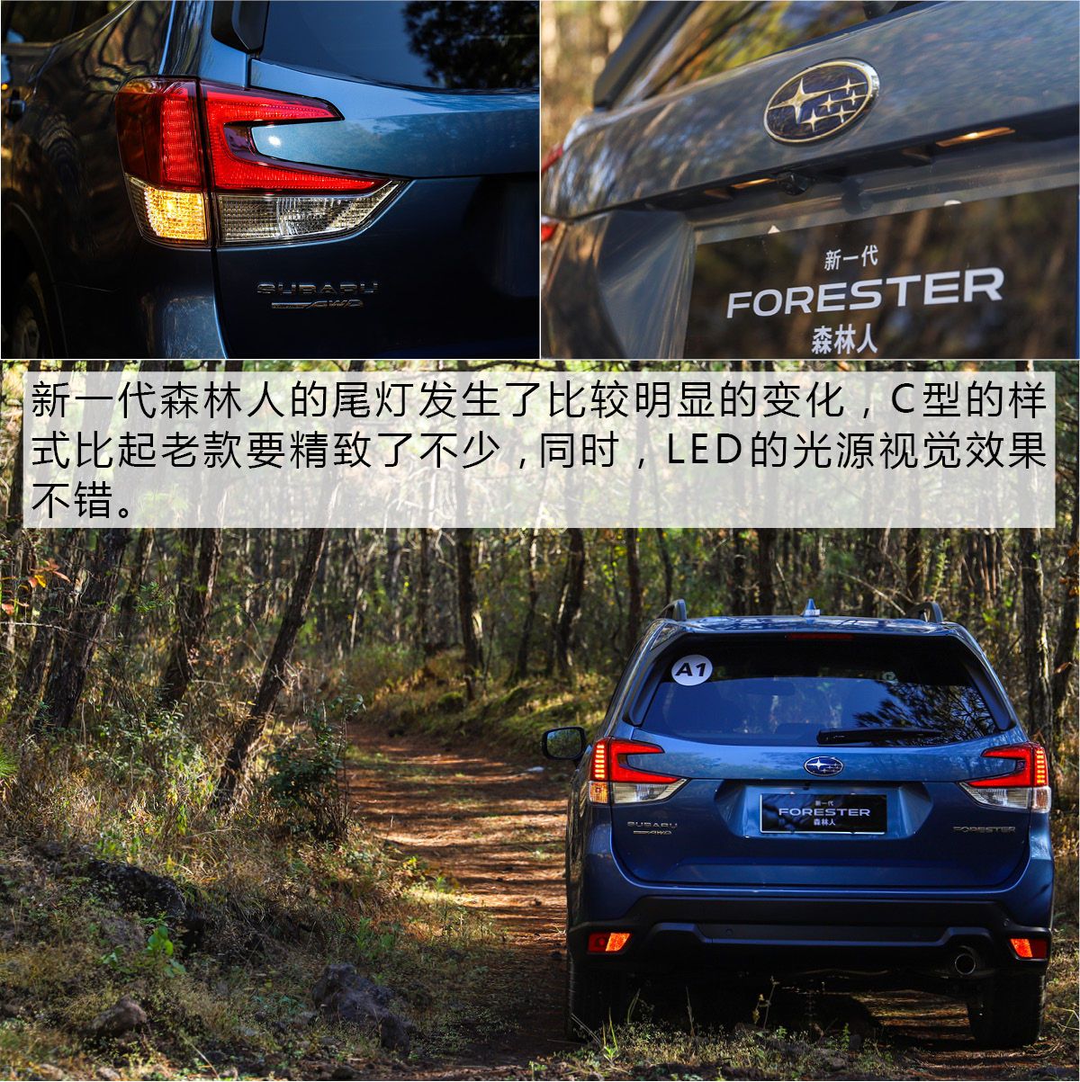 技术宅的自我修养 试新一代斯巴鲁森林人