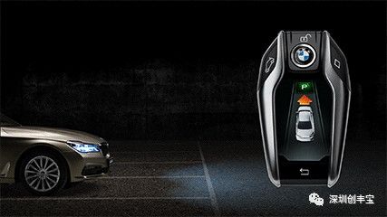 BMW杯国际高尔夫球赛深圳创丰宝分站赛  