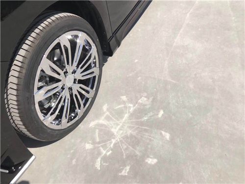 2019款埃尔法/威尔法(蒙娜丽莎包围)现货