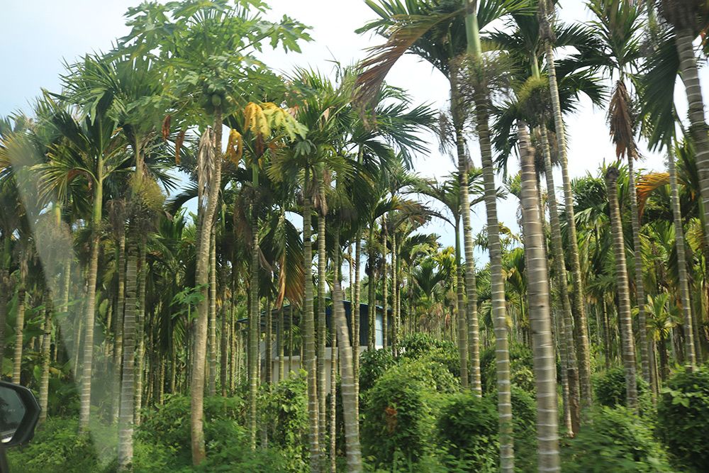 上天入地 DC 24小时雪佛兰SUV驾训体验营