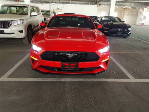 dealer_default_1856397aa1c049288def28296864e7da.jpg