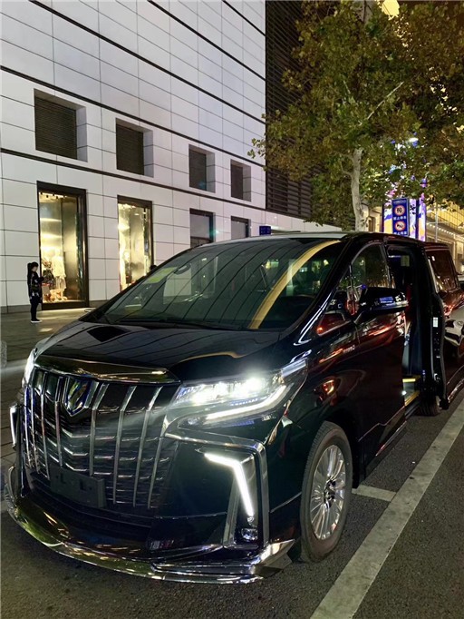 2019款丰田埃尔法改装蒙娜丽莎版最新价格