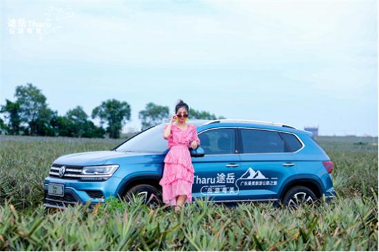                 广东最美旅游公路·菠萝的海