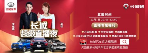 从双11活动复盘 看长城炮如何营销出圈
