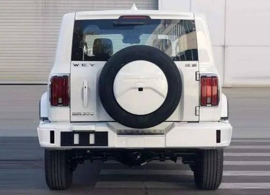 坦克300城市版申报图 搭载2.0T发动机