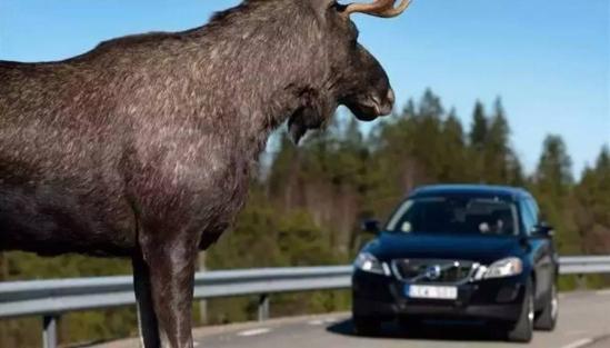 平民车麋鹿测试排行榜出炉：迈锐宝XL排第一，高尔夫排到第七