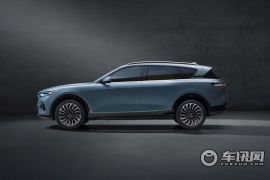 岚图汽车-岚图FREE-两驱纯电版   ￥33.36