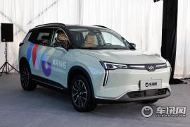 威马汽车-威马W6-520km PRO全能版   ￥18.98