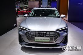 上汽奥迪-Q5 e-tron