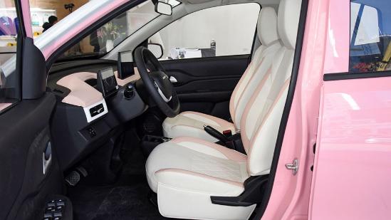 雷丁芒果Pro月养车5百，比起五菱，新保险才是劲敌