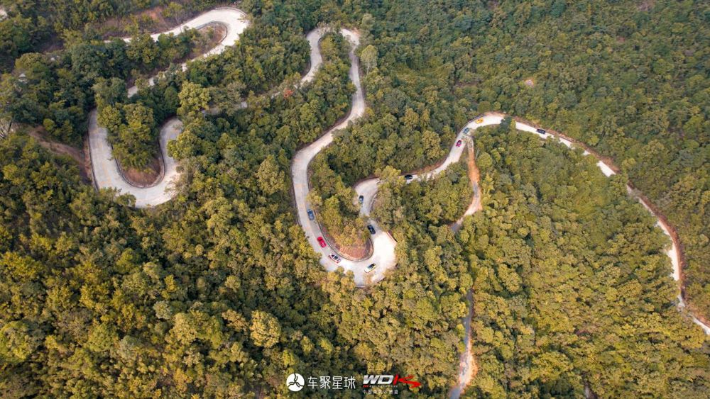 什么？！南昆山五连发夹弯竟来了一群“不速之客”！