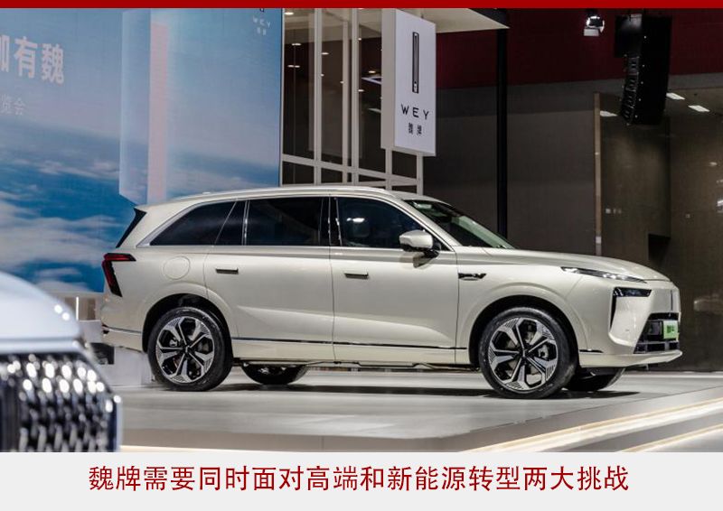 盘点2022|喜忧参半 “掉队”的长城还能否快速复苏？