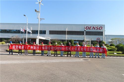 电装中国集团中最大光伏发电项目落成  