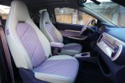 奇瑞汽车-小蚂蚁-甜粉款 全糖版 磷酸铁锂30kW 301km