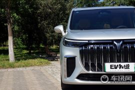 岚图汽车-梦想家