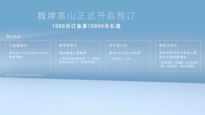 中国高端MPV扛鼎之作  魏牌高山预订全面开启-图2