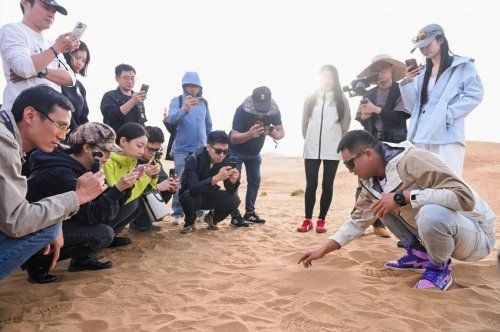  长城皮卡1-10月全球累计销量超15万辆  蝉联中国皮卡销冠