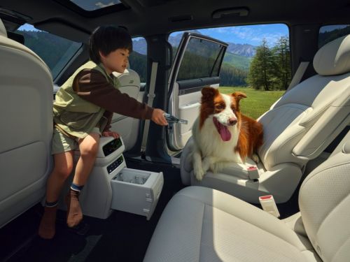 2026 款东风 eπ008,新能源六座,装得下还安全