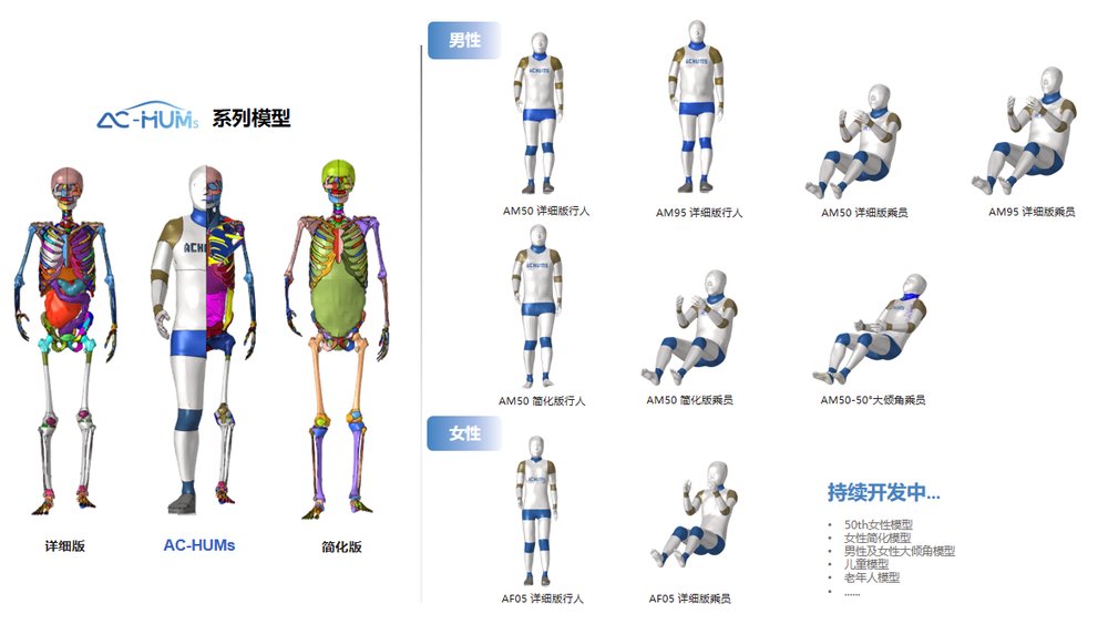 AC-HUMs 5百分位女性人体数字模型发布  