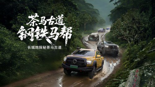 连续28年销量第一 长城皮卡以“用户共创”构建中式皮卡文化 