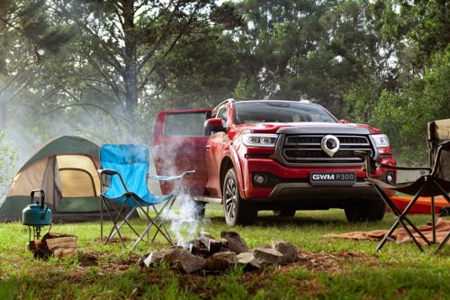 连续28年销量冠军 海外销量劲增17% 长城炮全球化战略全面提速