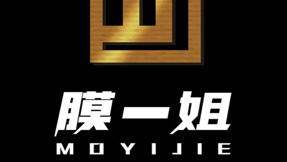 万元护甲如何选?2026年十大车衣品牌全方位解析