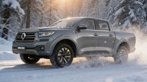 把寒冷挡在车外，2026款长城炮高寒版让冬季用车底气满满