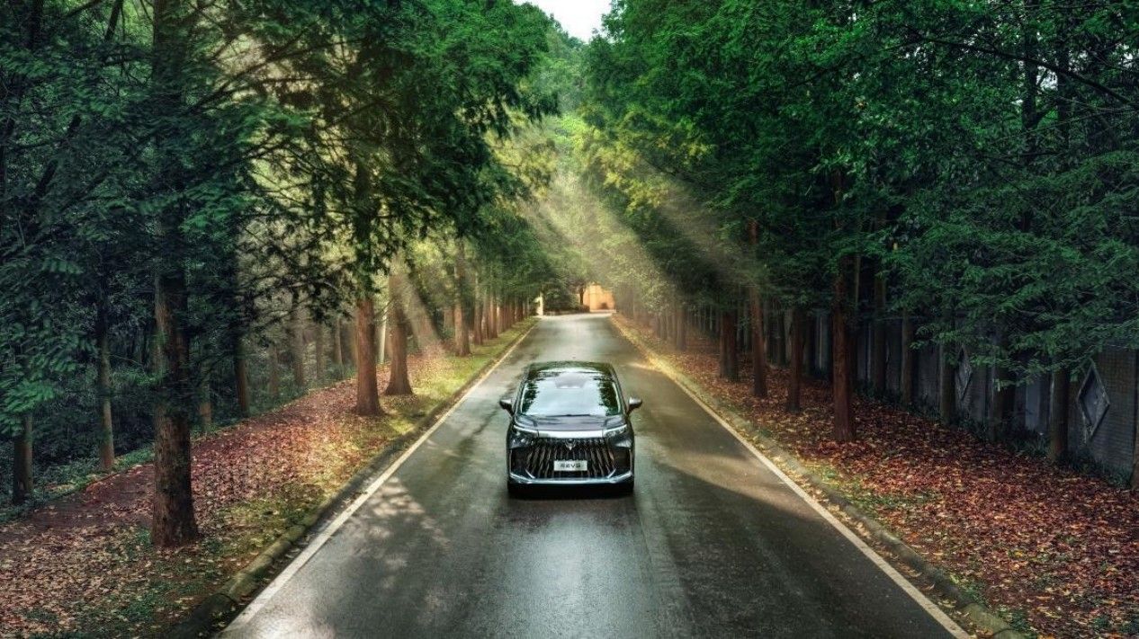 听到价格我都懵了 问道V9全域舒享21.99万起？