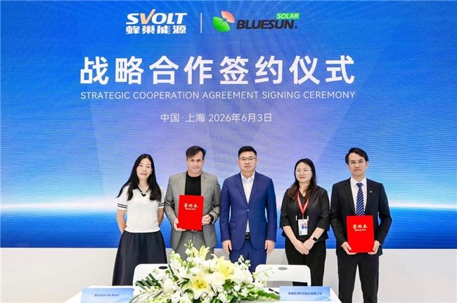 蜂巢能源SNEC 2026展示大容量储能的系统级全场景解决方案